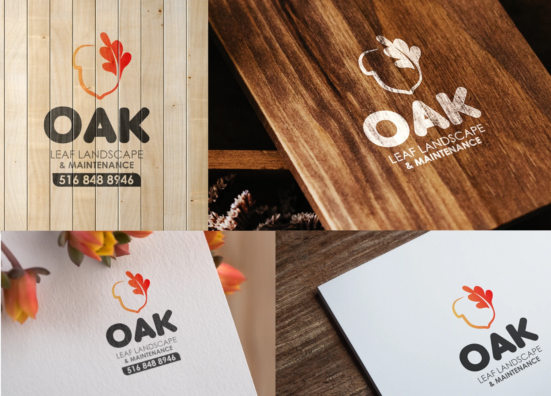 OAK imagen 20